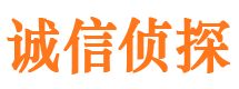 库车外遇调查取证